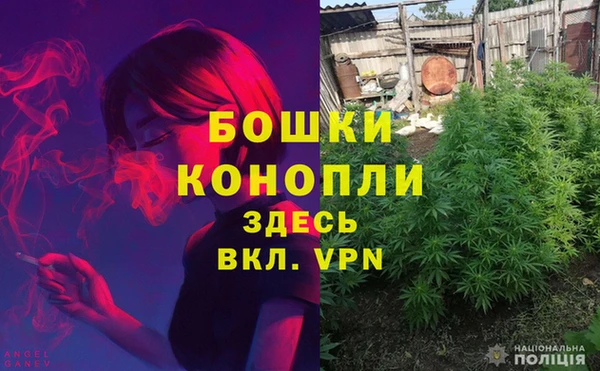 ПСИЛОЦИБИНОВЫЕ ГРИБЫ Богородицк