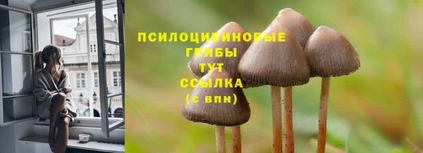 СК Белокуриха