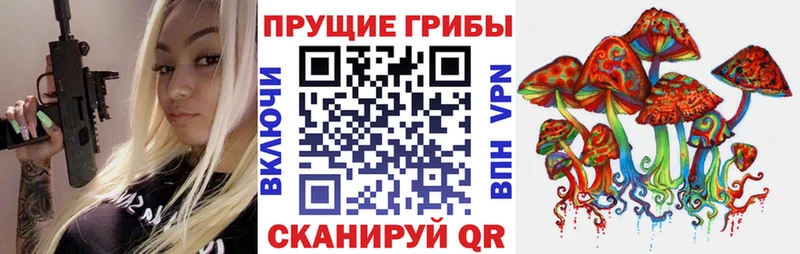 omg маркетплейс Богданович Галлюциногенные грибы Cubensis